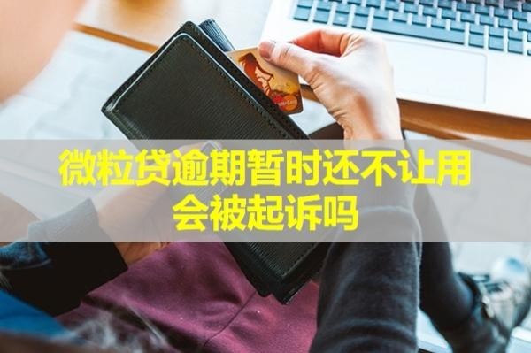 微粒貸逾期暫時(shí)還不讓用會(huì)被起訴嗎？詳細(xì)說(shuō)明