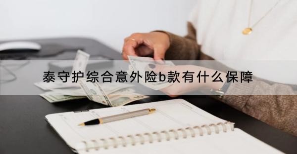 泰守護(hù)綜合意外險b款