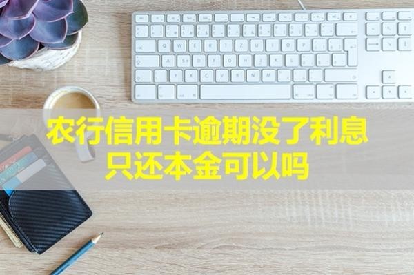 農(nóng)行信用卡逾期沒了利息只還本金可以嗎？快來看看