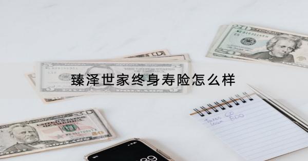 臻澤世家終身壽險(xiǎn)怎么樣？有哪些保障？