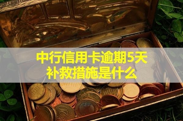 中行信用卡逾期5天補(bǔ)救措施是什么？可以這樣處理
