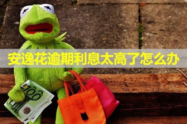 安逸花逾期利息太高了怎么辦？試試這樣做