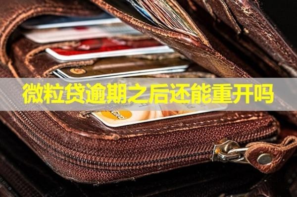 微粒貸逾期之后還能重開嗎？解析