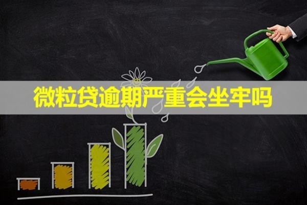微粒貸逾期嚴(yán)重會坐牢嗎？答案不出所料