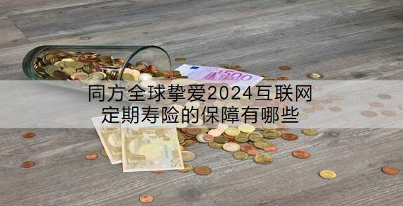 同方全球摯愛2024互聯(lián)網(wǎng)定期壽險(xiǎn)的保障有哪些？值得買嗎？