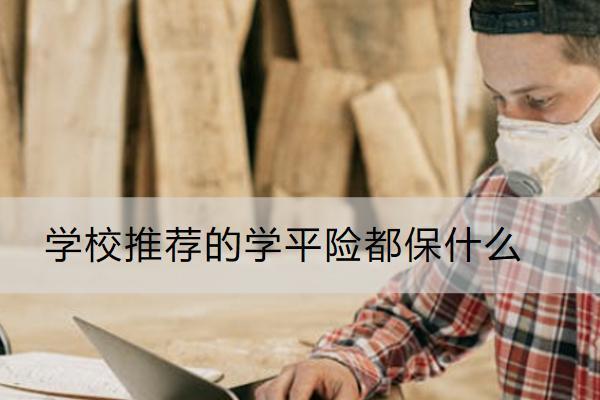學校推薦的學平險都保什么？多少錢？