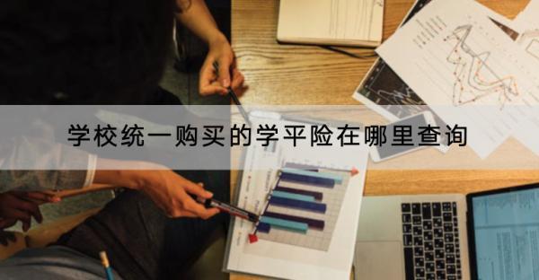 學校統(tǒng)一購買的學平險在哪里查詢