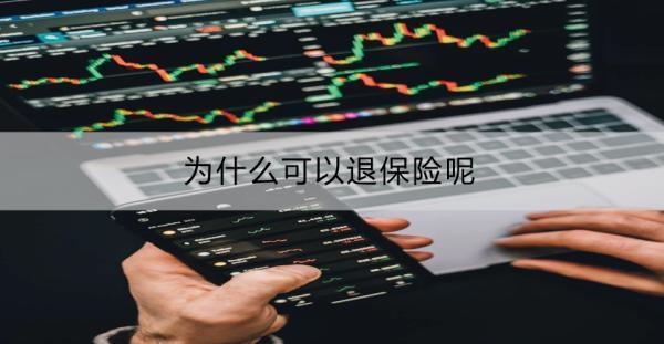 為什么可以退保險呢？為什么退不到一半？