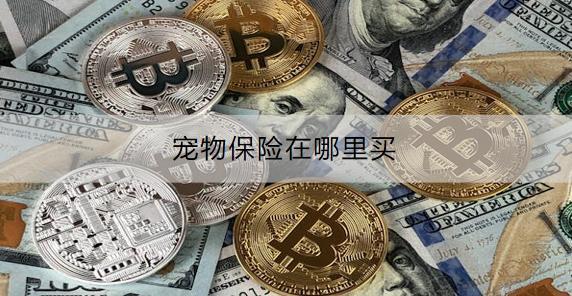寵物保險在哪里買