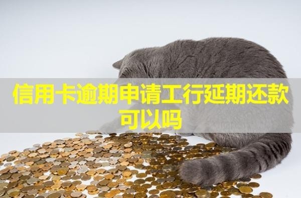 信用卡逾期申請(qǐng)工行延期還款可以嗎？詳細(xì)解析