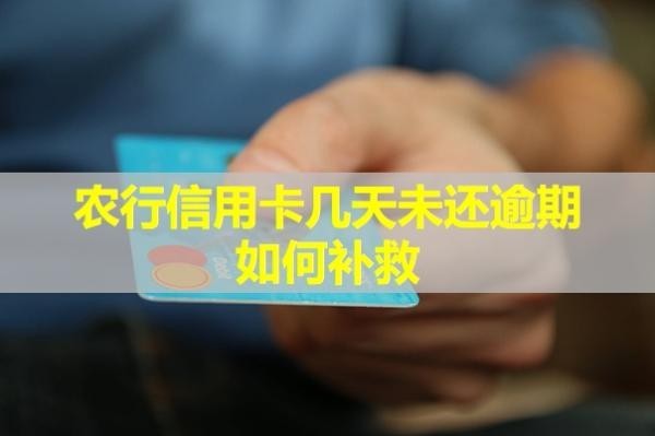 農(nóng)行信用卡幾天未還逾期如何補(bǔ)救？詳細(xì)說明
