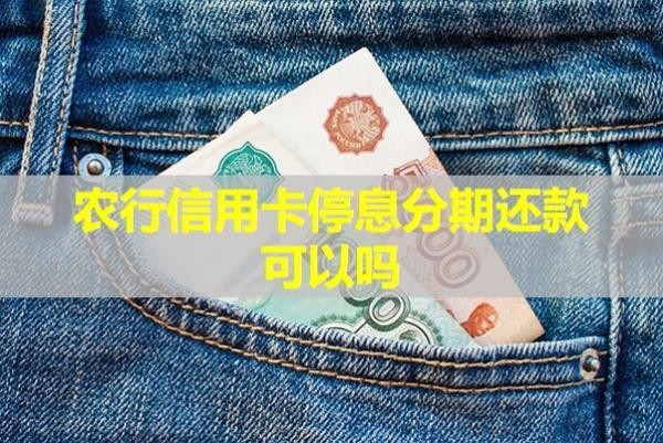 農(nóng)行信用卡停息分期還款可以嗎？揭秘