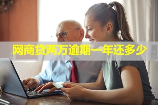 網(wǎng)商貸兩萬逾期一年還多少？最新
