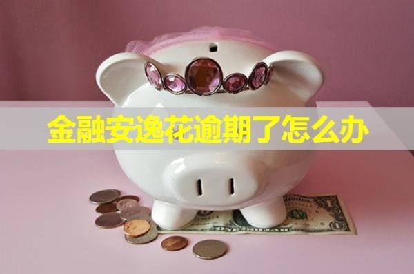 金融安逸花逾期了怎么辦？詳細(xì)說明