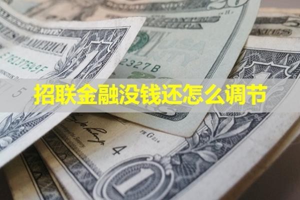 招聯(lián)金融沒錢還怎么調(diào)節(jié)？詳細(xì)說明