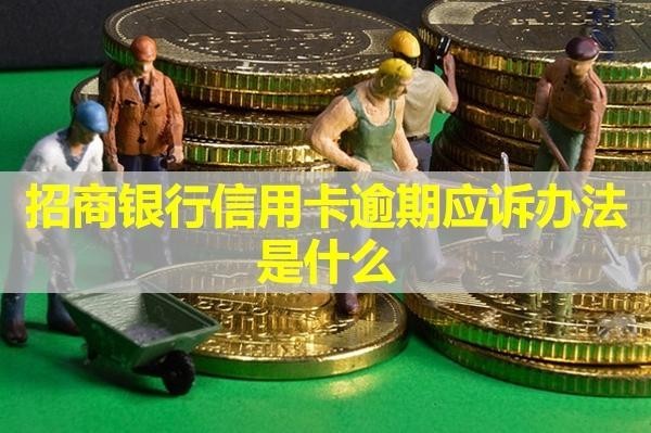 招商銀行信用卡逾期應(yīng)訴辦法是什么？詳細(xì)說(shuō)明