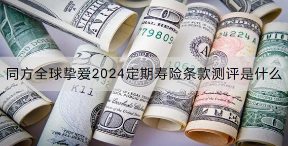 同方全球摯愛2024定期壽險條款測評是什么？保費多少？