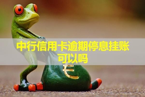 中行信用卡逾期停息掛賬可以嗎？最新
