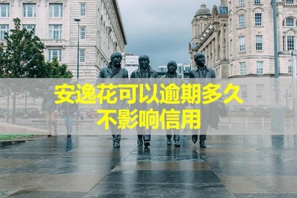 安逸花可以逾期多久不影響信用