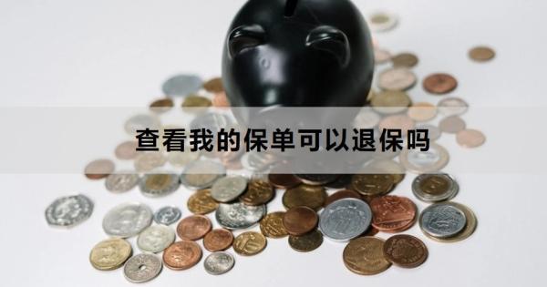 查看我的保單可以退保嗎？退保怎么退？