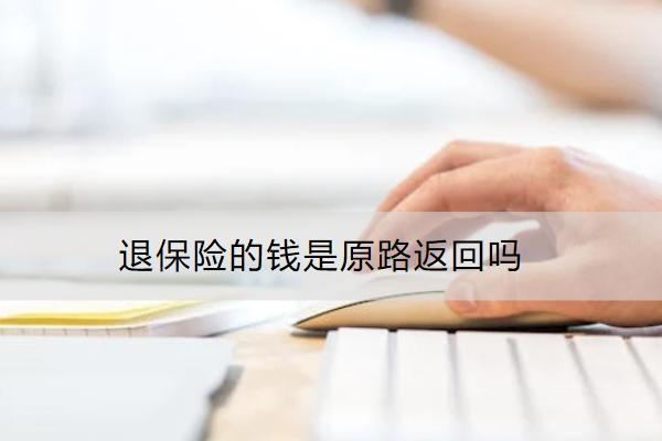 退保險(xiǎn)的錢是原路返回嗎？能退多少？