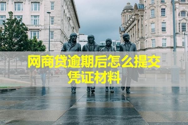 網(wǎng)商貸逾期后怎么提交憑證材料？詳細說明