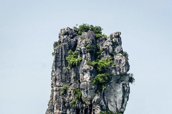 大都會(huì)花樣年華壽險(xiǎn)有用嗎？多少錢(qián)？