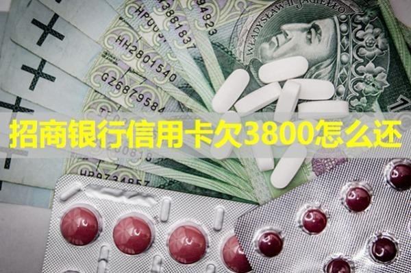 招商銀行信用卡欠3800怎么還？詳細說明