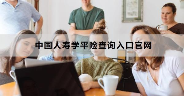 中國人壽學(xué)平險(xiǎn)查詢?nèi)肟诠倬W(wǎng)渠道有哪些？查詢不到為什么？