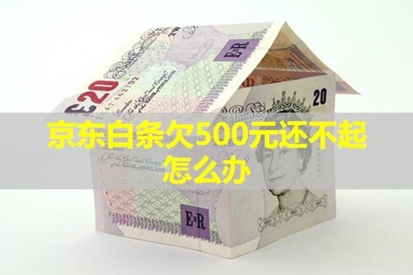 京東白條欠500元還不起怎么辦？具體分析