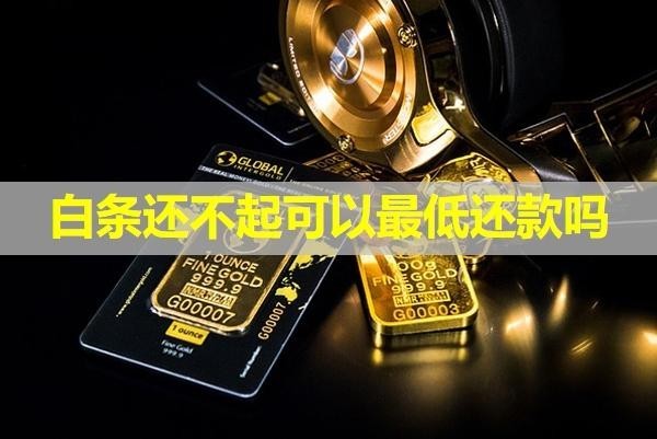 白條還不起可以最低還款嗎？詳細(xì)說明