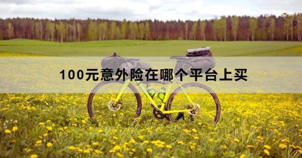 100元意外險在哪個平臺上買？購買的時候要注意什么？