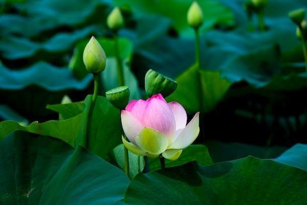 醫(yī)療保險報銷比例是多少？報銷流程是什么?。?/>
                                            </div>
                                        </a>
                                        <div   id=
