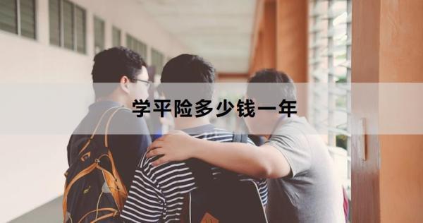 學平險多少錢一年？要怎么買呢？