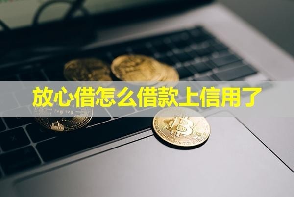 放心借怎么借款上信用了？存在這些問題