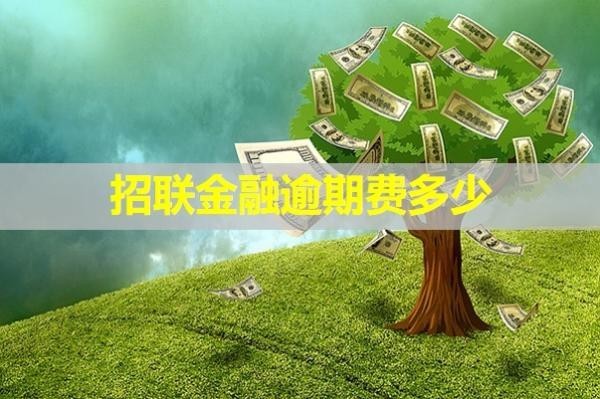 招聯(lián)金融逾期費(fèi)多少？壓力巨大