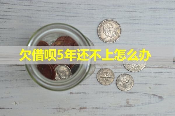欠借唄5年還不上怎么辦？詳情解析
