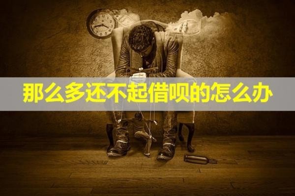 那么多還不起借唄的怎么辦