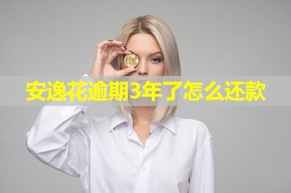 安逸花逾期3年了怎么還款？詳細說明