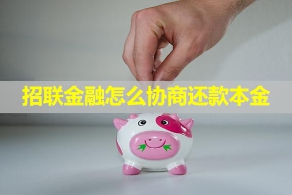 招聯(lián)金融怎么協(xié)商還款本金？具體分析
