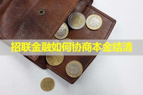 招聯(lián)金融如何協(xié)商本金結(jié)清？詳細(xì)解析
