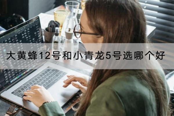 大黃蜂12號(hào)和小青龍5號(hào)選哪個(gè)好？各有什么特色的保障？