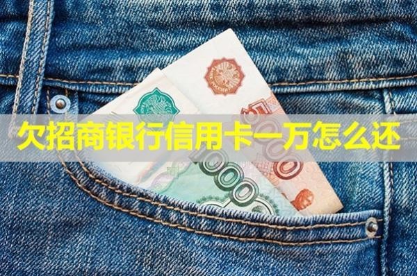 欠招商銀行信用卡一萬