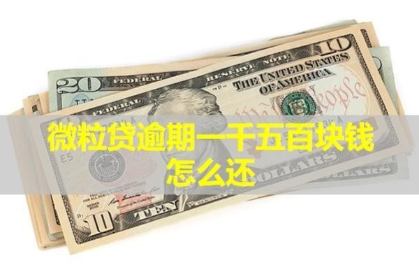 微粒貸逾期一千五百塊錢怎么還？詳細(xì)分析
