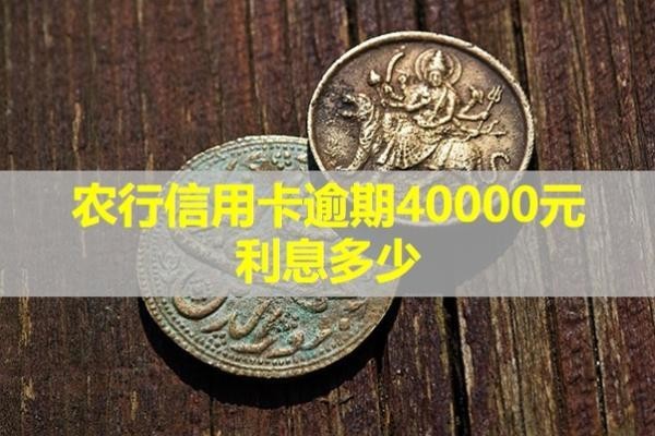 農(nóng)行信用卡逾期40000元利息多少？快來看