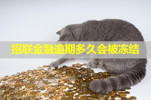 招聯(lián)金融逾期多久會(huì)被凍結(jié)銀行卡？這個(gè)時(shí)間很重要