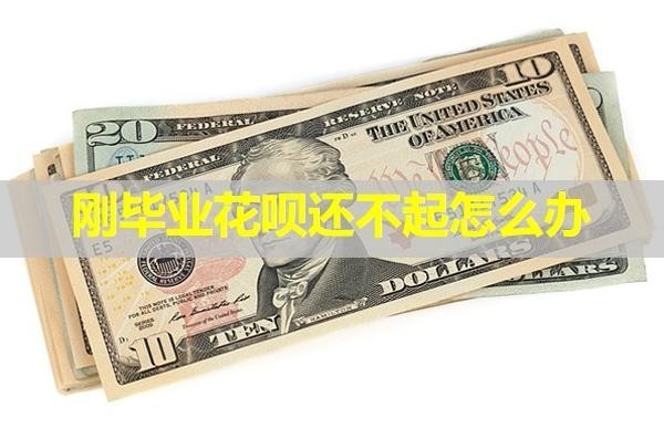剛畢業(yè)花唄還不起怎么辦？教你幾招