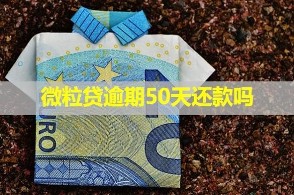 微粒貸逾期50天還款嗎？做好這幾步