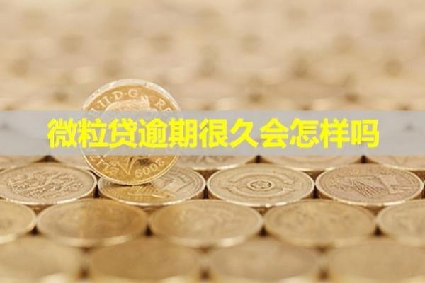 微粒貸逾期很久會怎樣嗎？