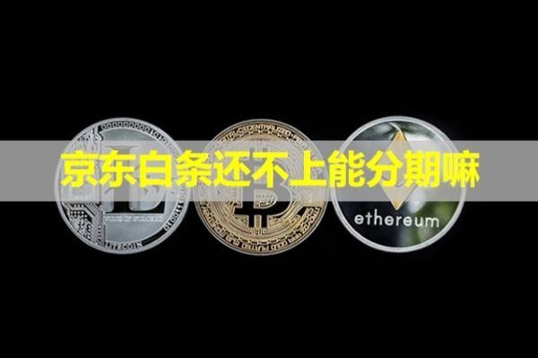 京東白條還不上能分期嘛？